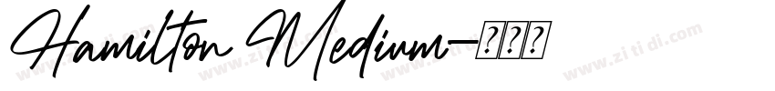 Hamilton Medium字体转换